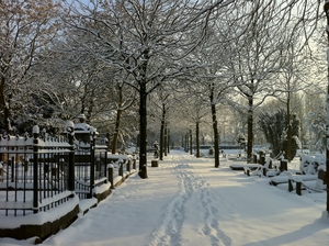 Essenhof in de sneeuw